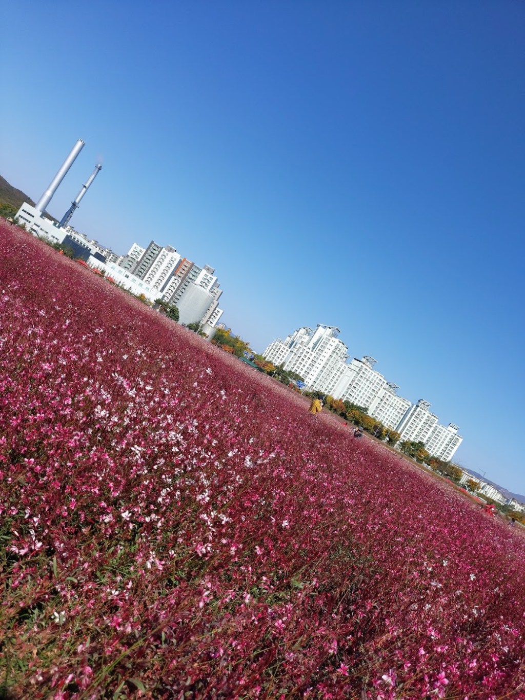 Nari Park 양주나리공원