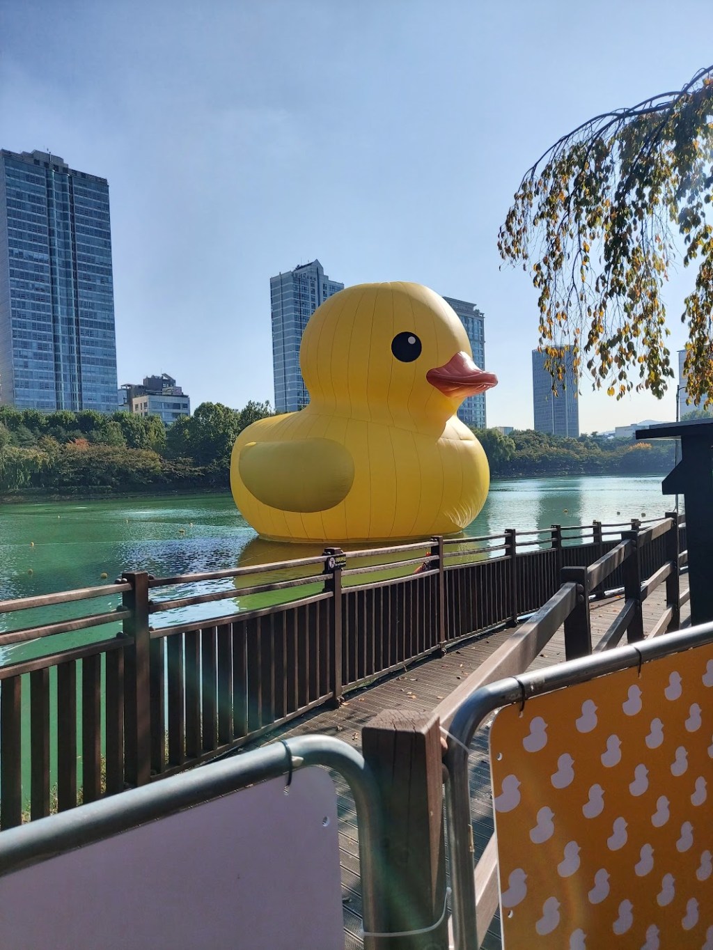 Rubber Ducky, You’re the&nbsp;One…