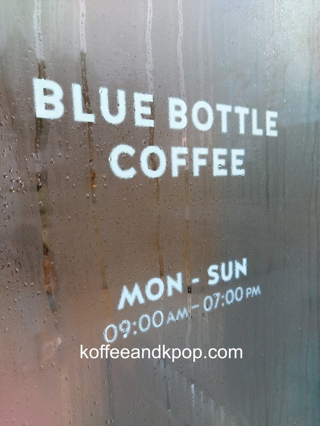 Cafe Review: Blue Bottle Jeju