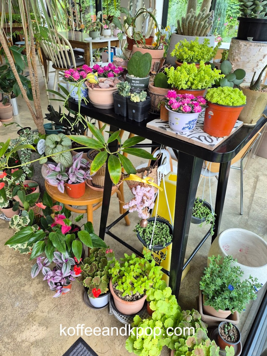 Flower Cafe Of Your Dreams, City&nbsp;Garden